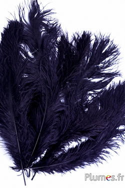 Autruche - 38-42 cm - noir